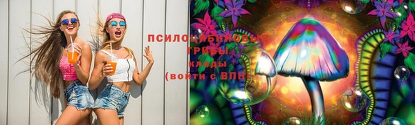 молекула духа Богданович