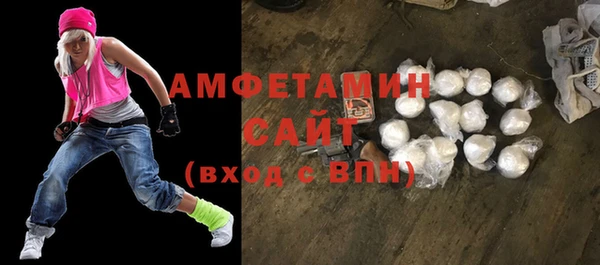 молекула духа Богданович