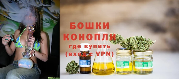 молекула духа Богданович