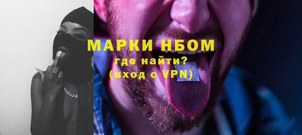 молекула духа Богданович