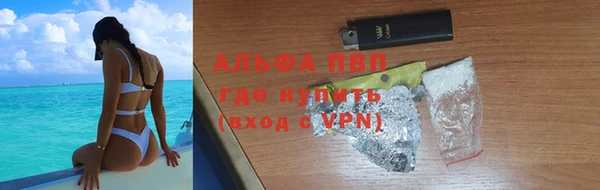 spice Богородицк