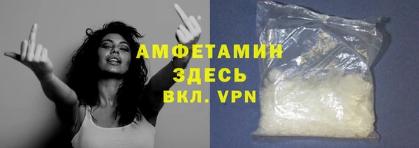 spice Богородицк
