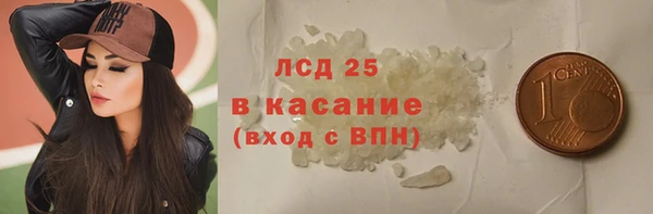 молекула духа Богданович