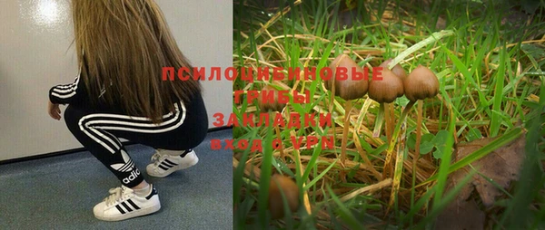 a pvp Беломорск