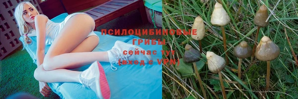 a pvp Беломорск