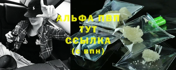 spice Богородицк